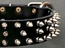 Black Leather Spiked dog Collar for Sharpei Black Leather Spiked dog Collar for Sharpei
