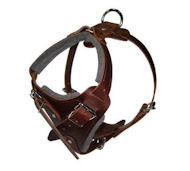 Comfort Padded Dog Harness for Sharpei Comfort Padded Dog Harness for Sharpei