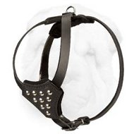 Shar-Pei Puppy Harness with Studs Decorated Chest Shar-Pei Puppy Harness with Studs Decorated Chest