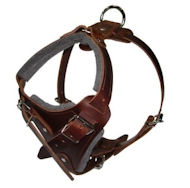 Hands Free Control Dog Harness for Sharpei Hands Free Control Dog Harness for Sharpei