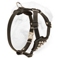 Leather Shap-Pei Harness for Active Puppies with D ring and Quick Release Buckle Leather Shap-Pei Harness for Active Puppies with D ring and Quick Release Buckle