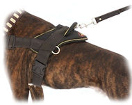 Non Pull Dog Harness-Stop Your Sharpei Pulling Non Pull Dog Harness-Stop Your Sharpei Pulling