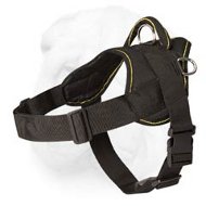 All Weather Functional Nylon Harness for Shar Pei Breed All Weather Functional Nylon Harness for Shar Pei Breed