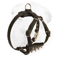 Spiked Shar-Pei Harness for Puppies with D ring and Quick Release Buckle Spiked Shar-Pei Harness for Puppies with D ring and Quick Release Buckle