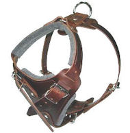 Similar to Redline K9 Pro Leather Dog Harness for Sharpei Similar to Redline K9 Pro Leather Dog Harness for Sharpei