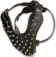 Great Spike Sharpei Harness Manufacturers Great Spike Sharpei Harness Manufacturers