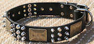 Shar Pei Spiked Leather Dog Collar-brass massive plate&spik C-86