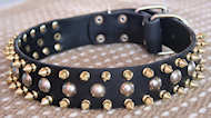 3 Rows with brass Leather Spikes and Studded Dog Collar S57 3 Rows with brass Leather Spikes and Studded Dog Collar S57