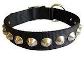 Nylon dog collars