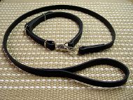 Shar Pei dog leash and collar (combo) Shar Pei dog leash and collar (combo)