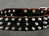 Spiked dog collars