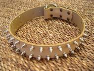 Leather Spiked Dog Collar- 2 Rows of spikes collar for Shar Pei