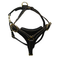Shar Pei Walking dog harness made of leather Shar Pei Walking dog harness made of leather