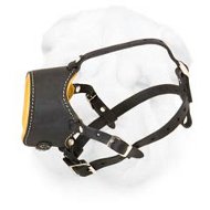 Royal Comfort Leather Muzzle for Everyday Walking Shar Pei  Royal Comfort Leather Muzzle for Everyday Walking Shar Pei