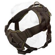 https://www.sharpei-dog-breed-store.com/images/Shar-Pei-Breed-Harness-Chest-Plate-Nylon-H12.jpg