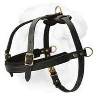 https://www.sharpei-dog-breed-store.com/images/Shar-Pei-Breed-Harness-Leather-for-Tracking-and-Pulling-H5.jpg