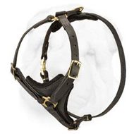 Walking/Tracking Shar Pei Dog Harness Comfortable for Prolonged Work  Walking/Tracking Shar Pei Dog Harness Comfortable for Prolonged Work