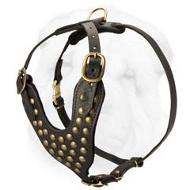 Caramel Harness - . Leather harness for dogs