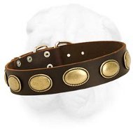 Vintage Shar-Pei Collar with Oval Brass Plates  Vintage Shar-Pei Collar with Oval Brass Plates
