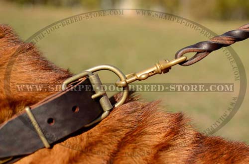 Durable Buckle and D-Ring Made of Brass on Walking Collar for Shar Pei