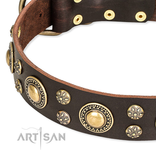 Leather dog collar with trendy embellishments