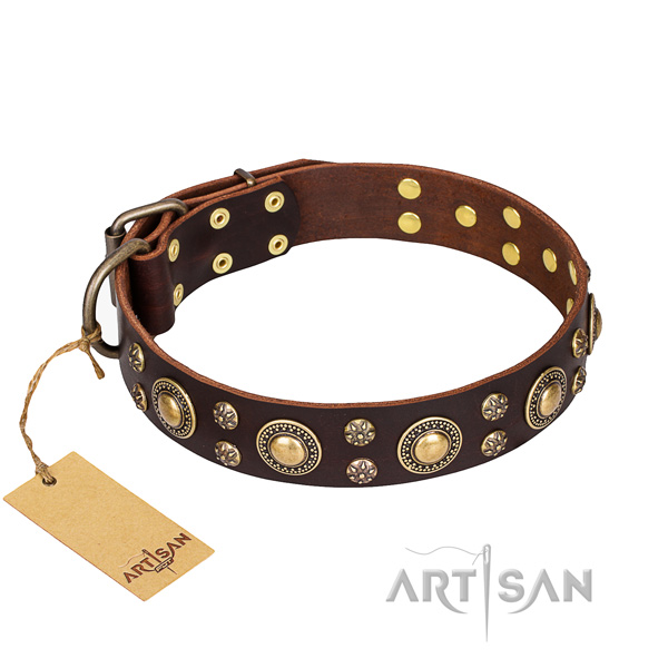 Top notch full grain leather dog collar for everyday use
