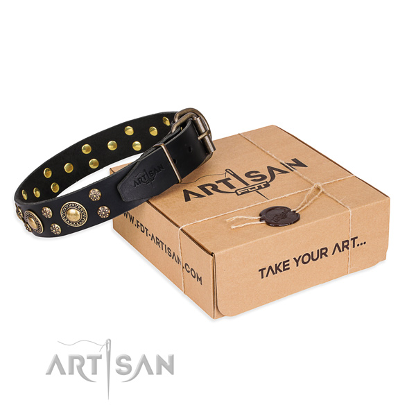Awesome full grain leather dog collar for everyday walking