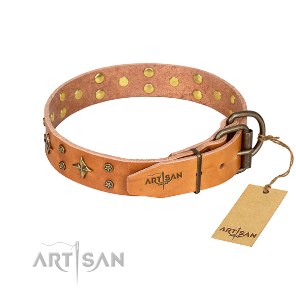 Stylish walking full grain leather collar with decorations for your dog