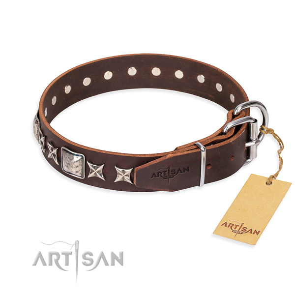 Walking leather collar with adornments for your four-legged friend