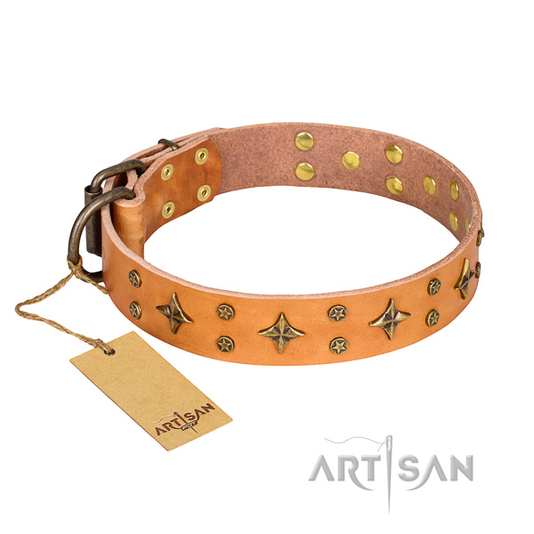 Extraordinary full grain natural leather dog collar for everyday use