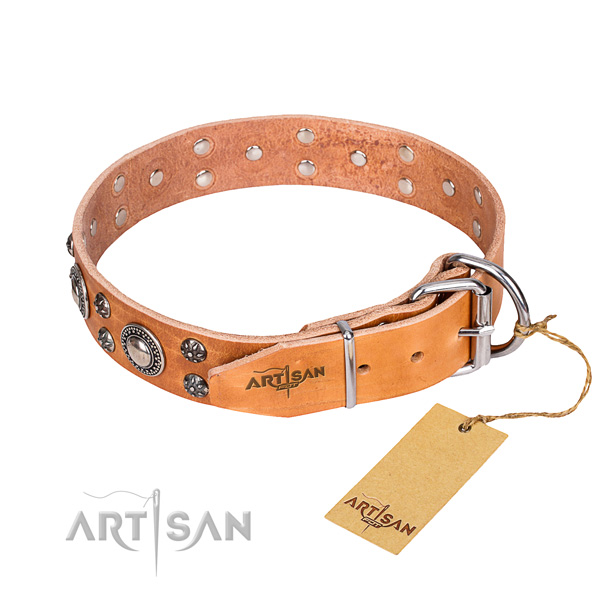 Stylish walking genuine leather collar with studs for your pet