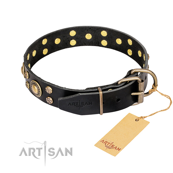 Daily use leather collar with embellishments for your pet