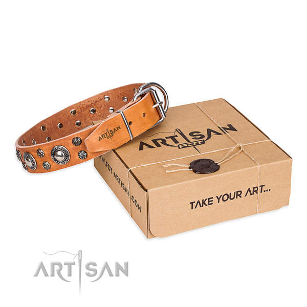 Top notch natural genuine leather dog collar for everyday walking