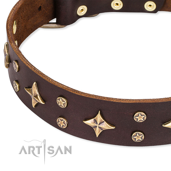 Full grain genuine leather dog collar with unusual adornments