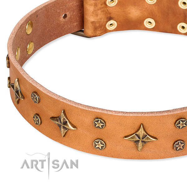 Full grain genuine leather dog collar with exquisite studs