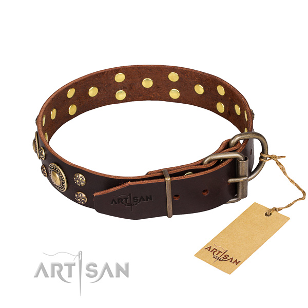 Walking natural genuine leather collar with studs for your canine