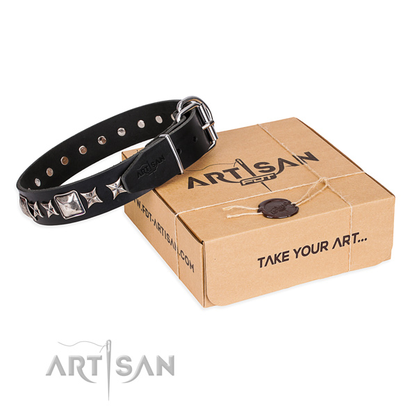 Adorned full grain leather dog collar for everyday use