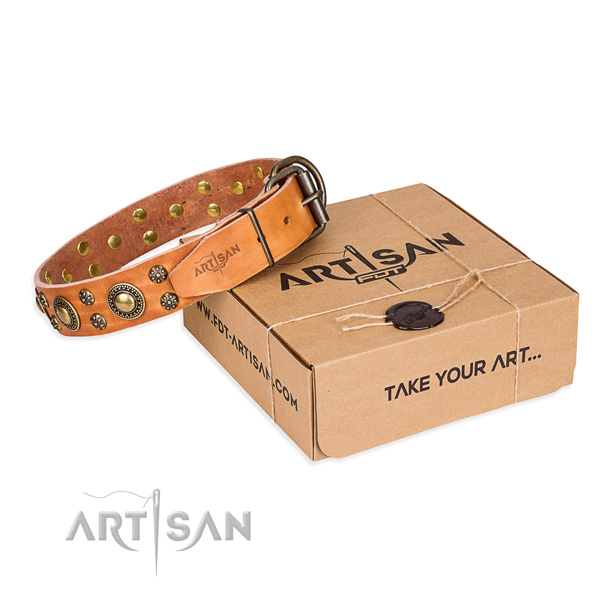 Full grain natural leather dog collar with studs for daily walking