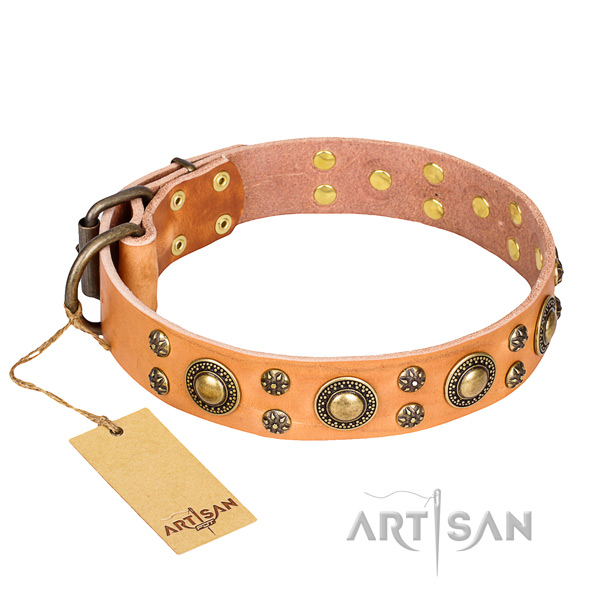 Extraordinary full grain leather dog collar for everyday walking