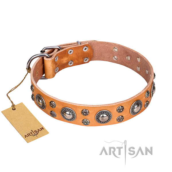 Extraordinary natural genuine leather dog collar for stylish walking