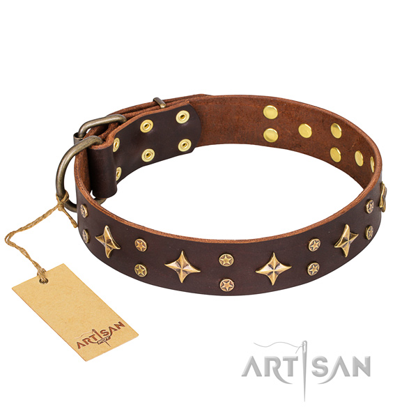 Impressive genuine leather dog collar for walking