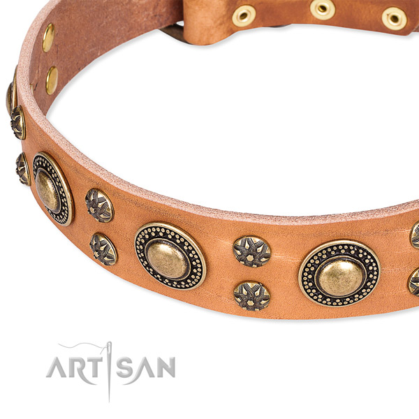 Leather dog collar with exceptional adornments
