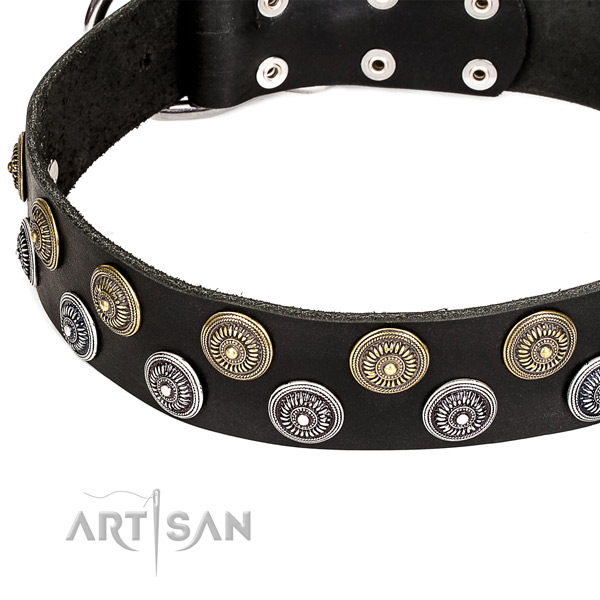 Genuine leather dog collar with incredible embellishments