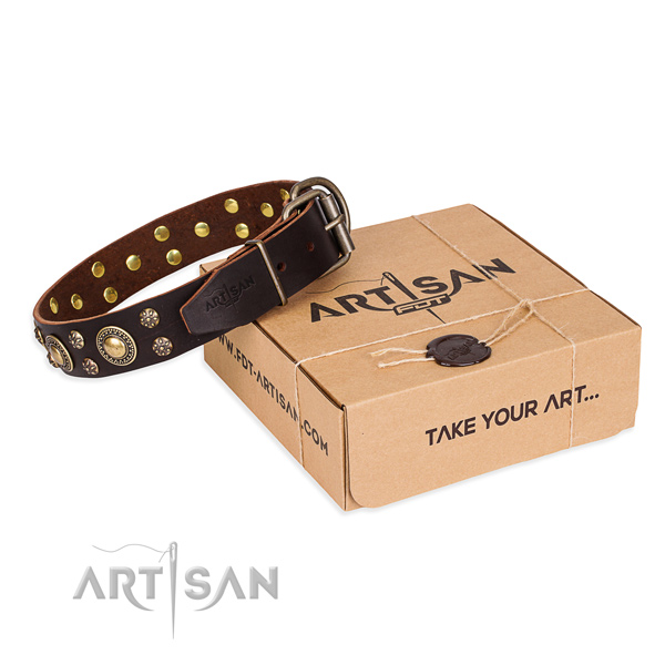 Full grain genuine leather dog collar with decorations for everyday use