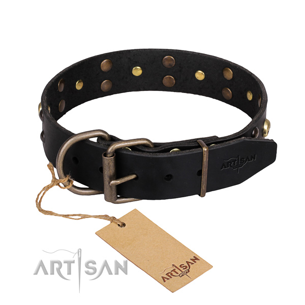 Casual style leather dog collar with unique design adornments