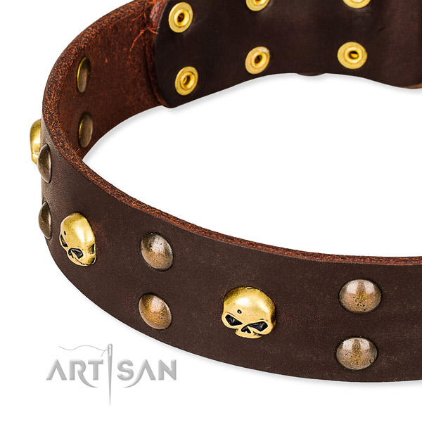 Day-to-day leather dog collar for walking