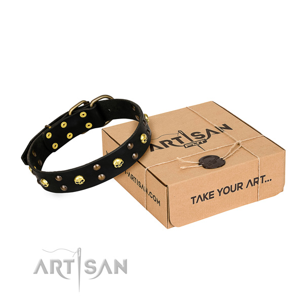 Reliable leather dog collar with strong elements