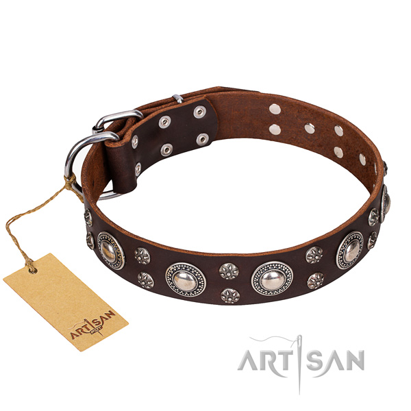 Long-lasting leather dog collar with durable details