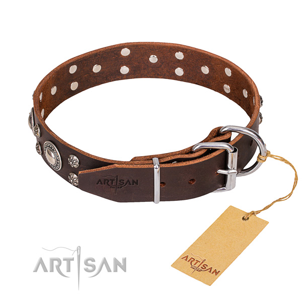 Daily leather collar for your gorgeous four-legged friend