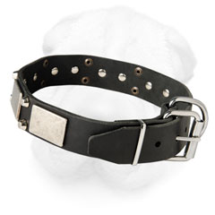 Decorated Shar-Pei Collar with Nickel Plated Hardware